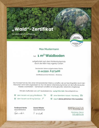 Waldurkunde – Aufforsten und gemeinsam Klima schützen